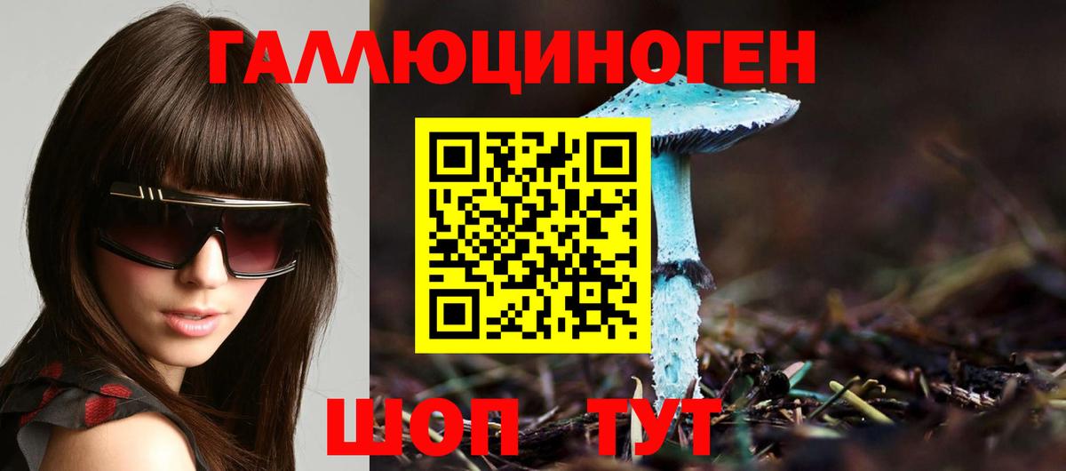 Псилоцибиновые грибы MAGIC MUSHROOMS Корсаков